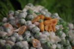 peas