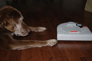 Levi and Neato Robot Vacuum