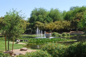 Scottsdale Princess