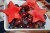 Star Spangled Fruit Salad