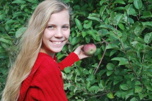 Picking Apples