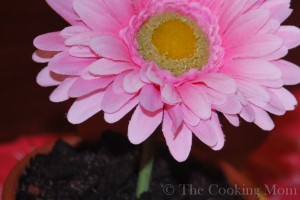 Flower Pot Dessert