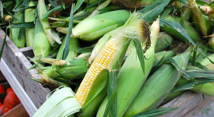 Farewell Farmers Market - Corn